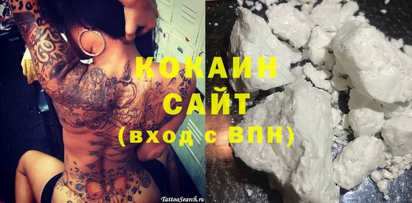 COCAINE Богородицк