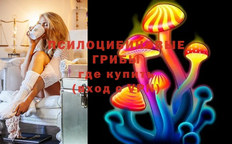 дарк нет телеграм  МЕГА вход  Руза  Галлюциногенные грибы Psilocybine cubensis 